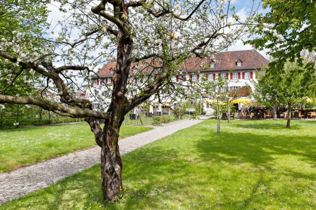 Hotel & Spa Kloster Dornach